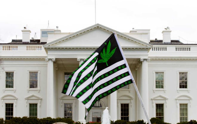 A demonstrator waves a flag with marijuana leaves on it during a protest calling for the legalization of marijuana on April 2 in Washington, D.C.