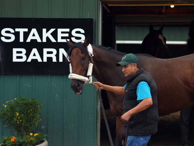 Kentucky Derby winner Nyquist, arrives at the Pimlico Race Course on Monday in Baltimore for the running of the 141st Preakness Stakes. The Associated Press