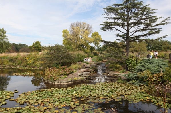Holden Arboretum in Kirtland has more than 120,000 plants, plus 20 miles of hiking trails.