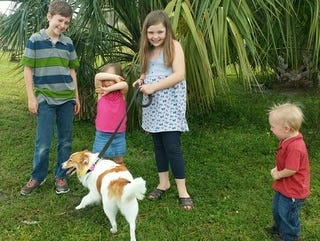 Hannah the sheltie was reunited Wednesday with the Hunt family from Ohio after the dog was stolen in Port Orange. The Hunt children, from left, Gavin, Amelia, Addison and Gage, were thrilled to have their dog back. Provided photo