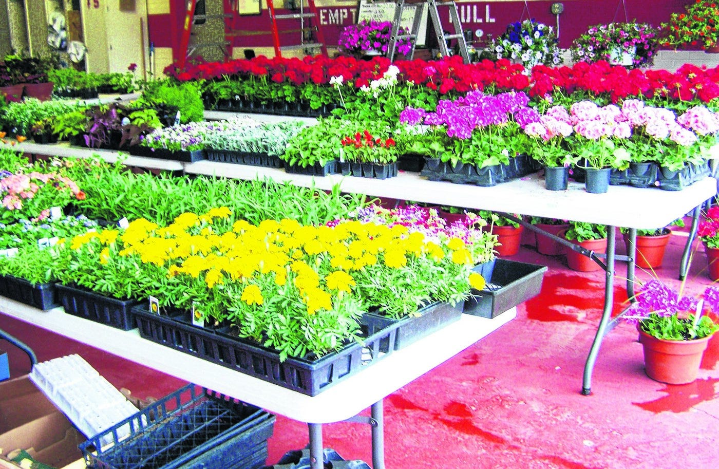 the flower bin garden center & nursery