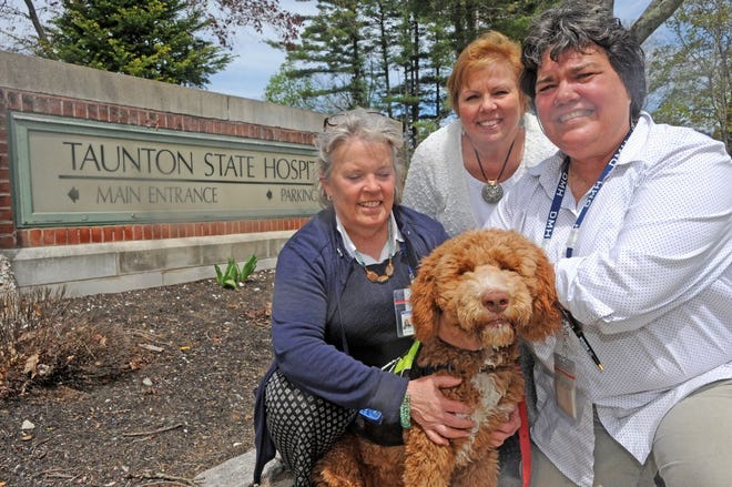 From Left, Taunton State Hospital Dir. of Quality Operations Mary- Patrice O'Connor, chief Operating Officer Joyce O' Connor, and Donna Amaral, with Danny a 6 month old Standard Poodle.