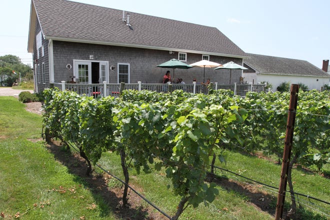 Langworthy Farm Winery, in Westerly, will offer a stuffed-clam special May 28 and 29 from noon to 5 p.m. with purchase of a wine tasting or a glass of wine. Providence Journal, files/Frieda Squires