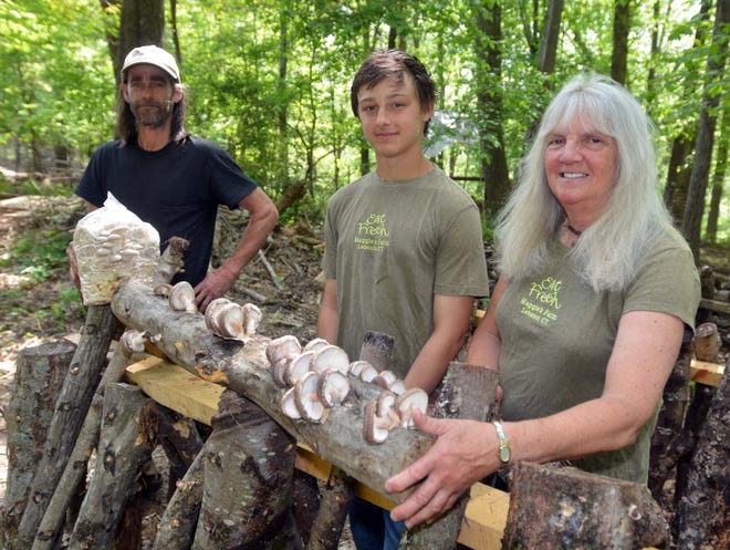 Jim and Carol Brzozowy, with their grandson Ben Stankoski, stand with shiitake and oyster mushrooms that they grow at their business, Maggie's Farm in Lebanon.

Aaron Flaum/ NorwichBulletin.com