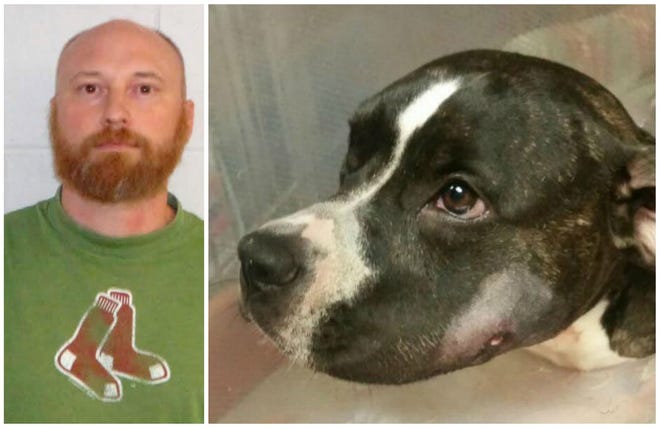 Andrew Freisinger, 43, of 80 St. Laurent St., Epping, is facing two felony charges for allegedly shooting his neighbor's dog, Mya, in the face.