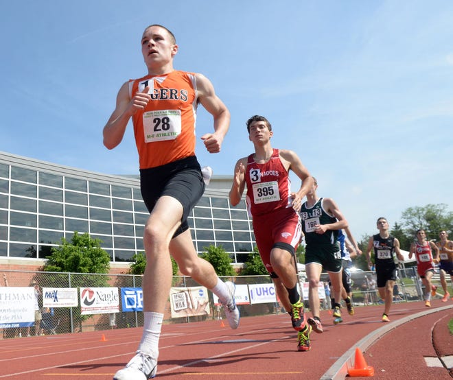 Beaver Falls' Domenic Perretta competes in the 800 at the PIAA Track and Field Championships on Friday at Shippensburg University.
