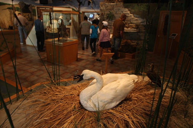 The Oakland Mills Nature Center features exhibits showing native Iowa habitats and animal species.