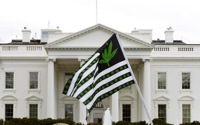 A demonstrator waves a flag with marijuana leaves on it during a protest outside the White House in April calling for the legalization of marijuana in Washington. Six states that allow marijuana use have legal tests for driving while impaired by the drug that have no scientific basis, according to a study by the nationís largest automobile club that calls for scrapping those laws. ( AP Photo/Jose Luis Magana, File)