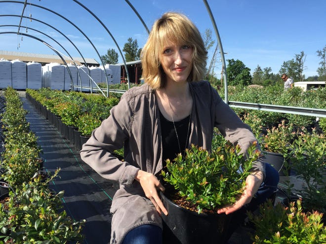 Amelie Aust shows some of the brazelberry plants produced by Fall Creek Nursery. (Ed Russo/The Register-Guard)