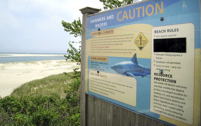 A sign at Chatham Lighthouse Beach beach warns of dangerous currents and sharks in Chatham, Mass. Additional Cape Cod towns have installed the signs this year. (AP Photo/Philip Marcelo)
