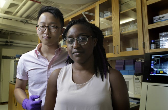 Richard Park, left, and Bella Okiddy are developing special swabs for sexual-assault kits that could be "transformative for the field." The Providence Journal/Kris Craig