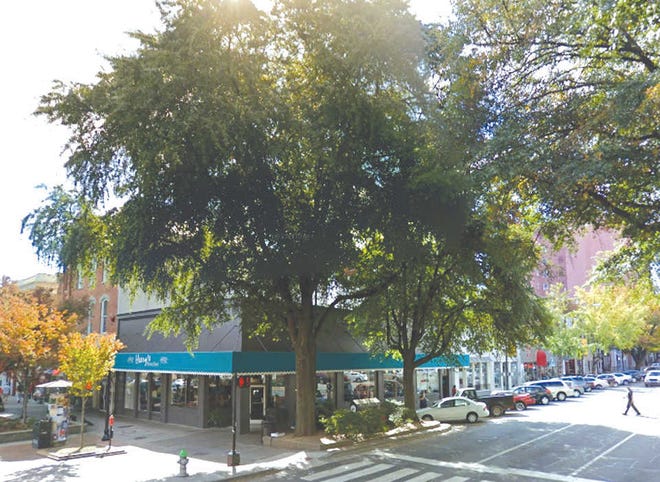 The smaller of the two trees outside of Heery's on the corner of College Avenue and Clayton Street is slated to be cut down.