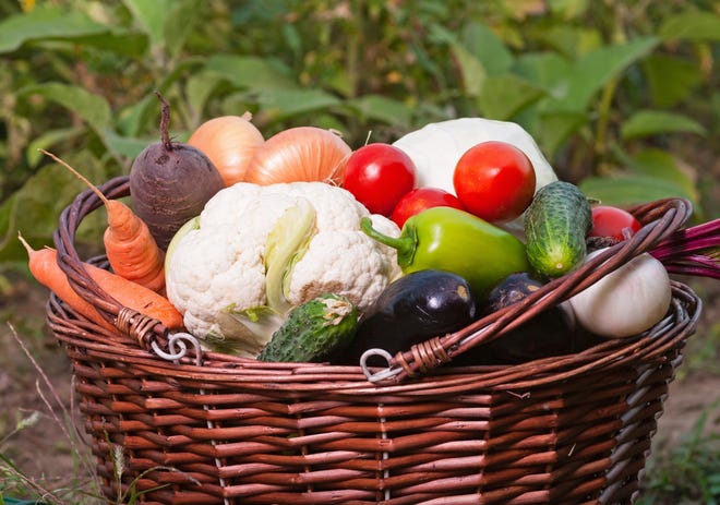 Experts agree that growing vegetables has many benefits, including healthier eating and reduced stress. COURTESY PHOTO
