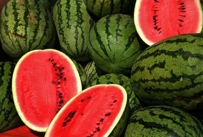 Watermelon in all its glory will be the star of the show at the Watermelon Festival this Saturday and Sunday at the Volusia County Fairgrounds, 3100 E. New York Ave., DeLand. File