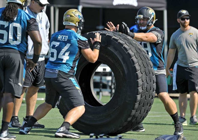 Bob.Self@jacksonville.com Jaguars offensive linemen Chris Reed and Tyler Shatley work out with a giant tire during Friday's Organized Team Activities.