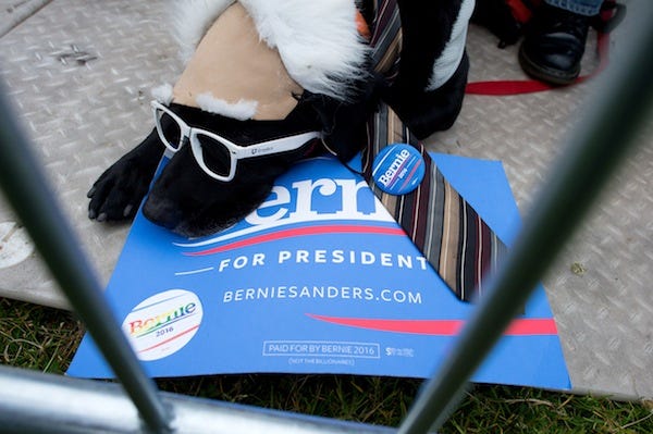 Frisco lies on a sign for Democratic presidential candidate Sen. Bernie Sanders, I-Vt., during a campaign rally on Monday, June 6, 2016, in San Francisco. (AP Photo/Noah Berger)