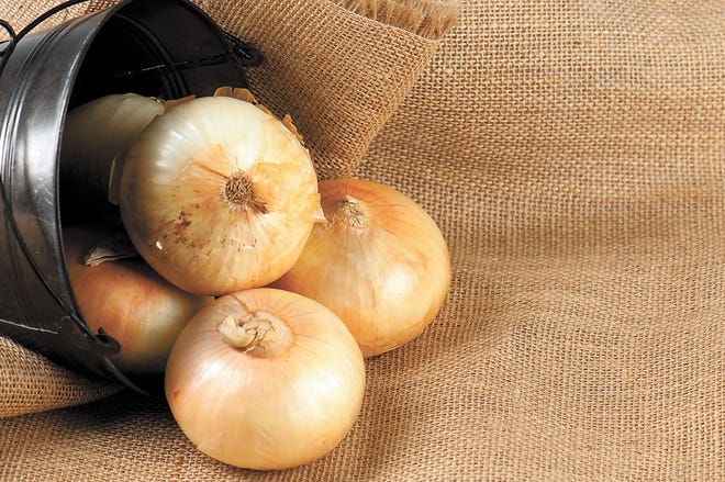 Vidalia onions work well in salads and hot dishes.