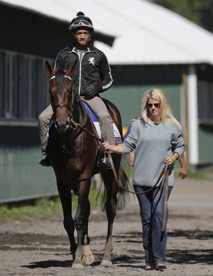 Belmont Stakes favorite Exaggerator, with exercise rider Jermal Landry up, is led back to the stable by assistant trainer Julie Clark after galloping around the main track at Belmont Park on Friday. The Associated Press