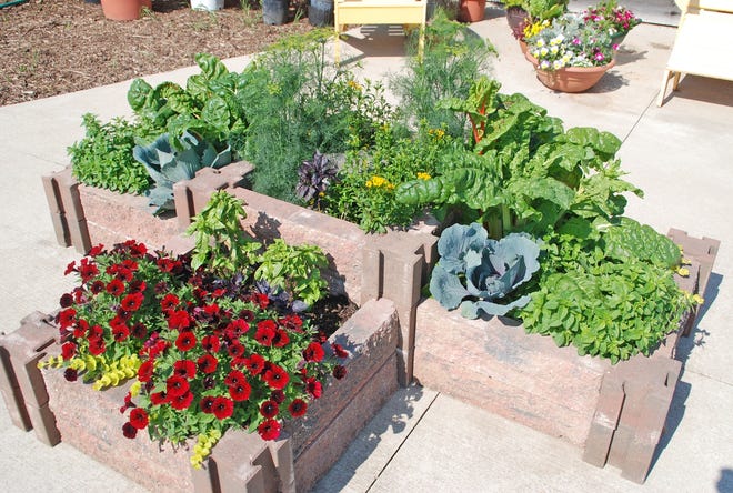 Elevated garden beds can help overcome landscape challenges, create new beds or simply make harvesting, planting and tending the garden easier. PHOTO: MELINDA MYERS, LLC