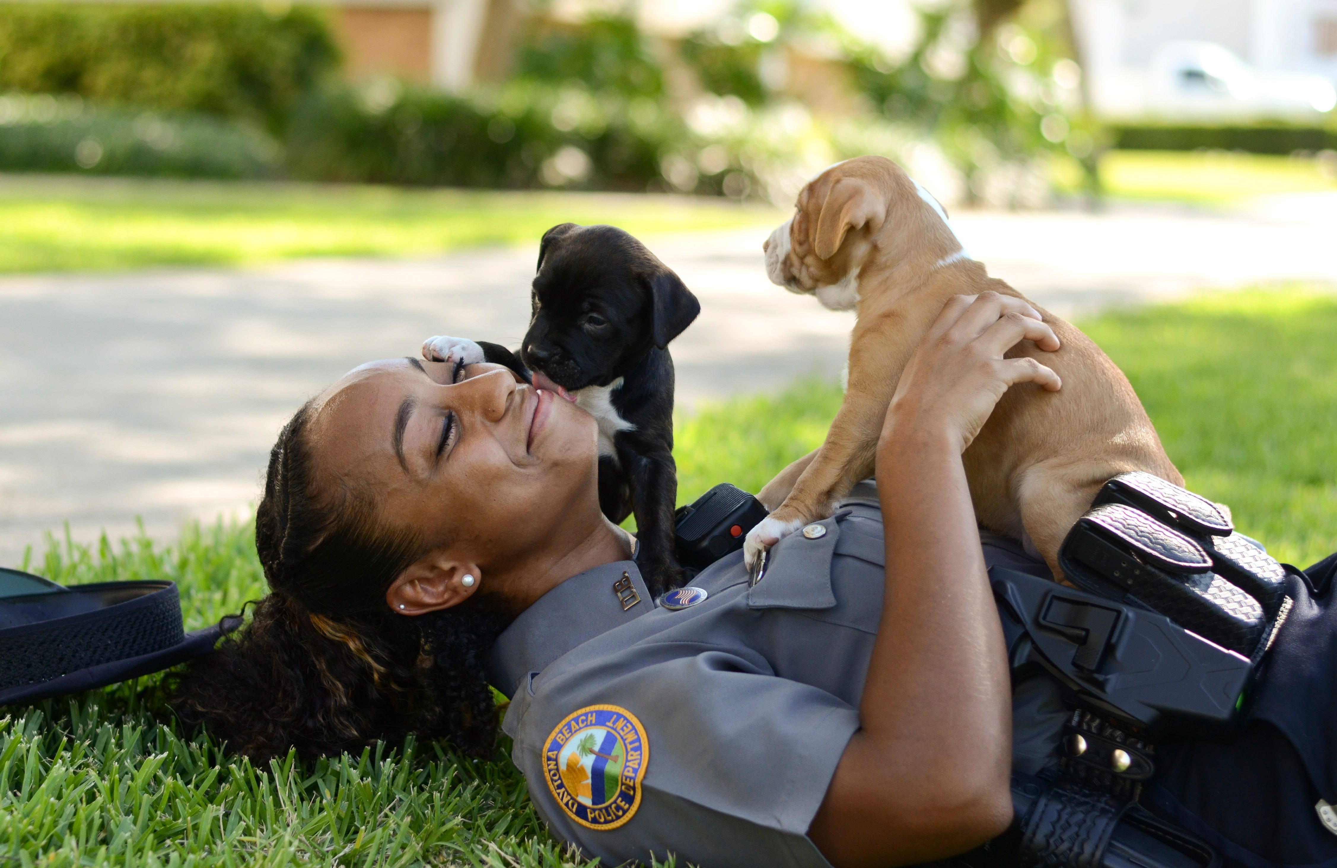 Heroes and rescue pets join to help animals in need Heroes and rescue pets join to help animals in need