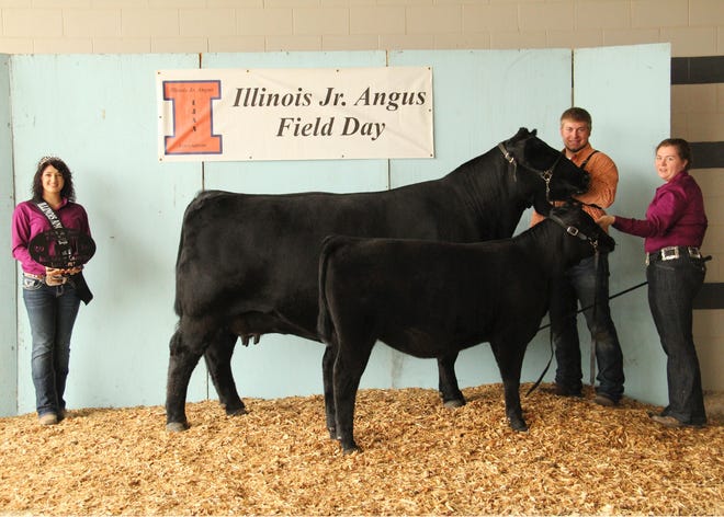 Troy Rawlings won reserve grand champion cow-calf pair with Proven Queen 2162 along with the December 2015 heifer calf sired by PVF Spinoff 3001. Photo by Chelsey Smith, American Angus Association