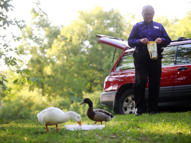 Joe Morales, director of residential leasing for Coldwell Banker, has fed the ducks and geese in the mornings for several years near Gainesville Family Physicians, an office near North Florida Regional Medical Center in Gainesville.