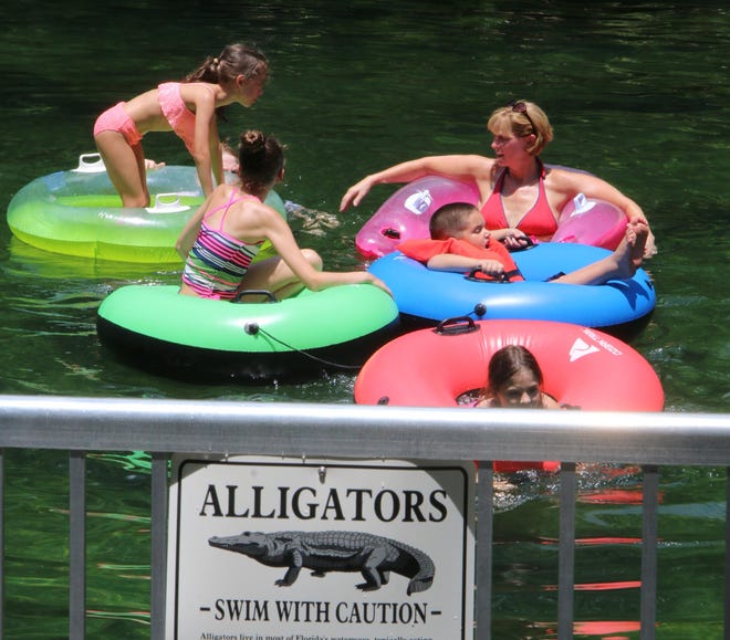 The news of Tuesday's alligator attack at Walt Disney World didn't deter bathers from enjoying the cool waters at Blue Spring State Park Wednesday — despite warning signs and an attack in October that killed a man at the park. News-Journal/JIM TILLER