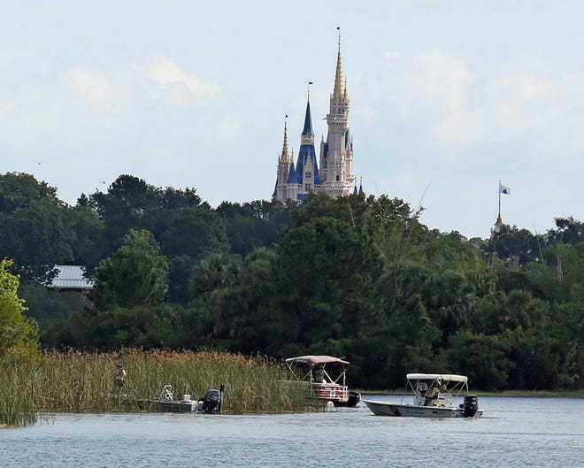 In the shadow of the Magic Kingdom Florida Fish and Wildlife Conservation Officers recovered the body of a young boy Wednesday, June 15, 2016 after the boy was snatched off the shore and dragged underwater by an alligator Tuesday night at Grand Floridian Resort at Disney World in Lake Buena Vista.