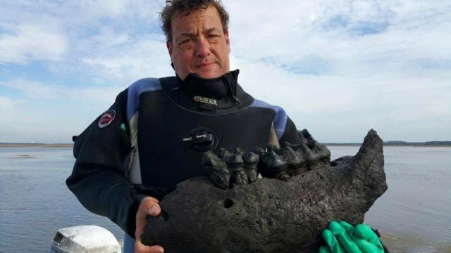 Courtesy of Lesley Francis PR
Bill Eberlein holds the Mastodon jaw he pulled out of a river bottom while diving.