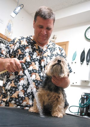Eric Heitman, of the Ottawa Animal Hospital, demonstrates how he would keep an animal cool during extreme heat during an interview in 2006. Sentinel File