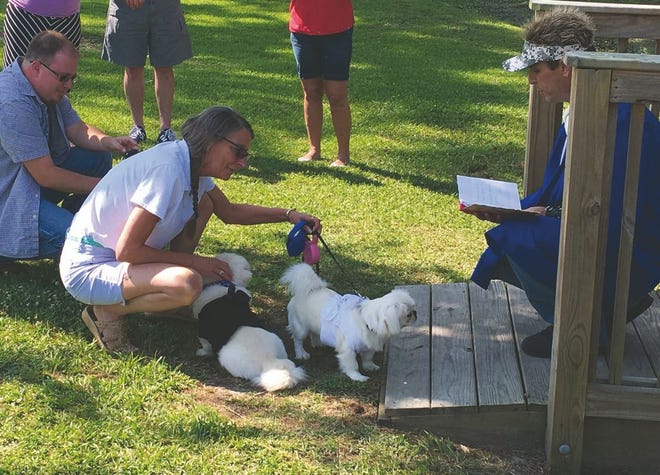 --Mike Linville, right, officiates the dog wedding between Rosco and Sandy, at the Havelock City Park. Owner Holly Briggs has the two by the leash.