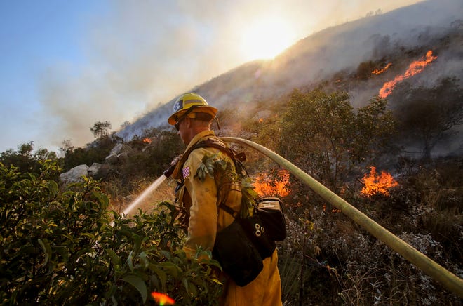A firefighter douses the grass with water along a hillside on a wildfire in Azusa, Calif., Monday, June 20, 2016. Police in the city of Azusa and parts of Duarte ordered hundreds of homes evacuated. Others were under voluntary evacuations. (AP Photo/Ringo H.W. Chiu)