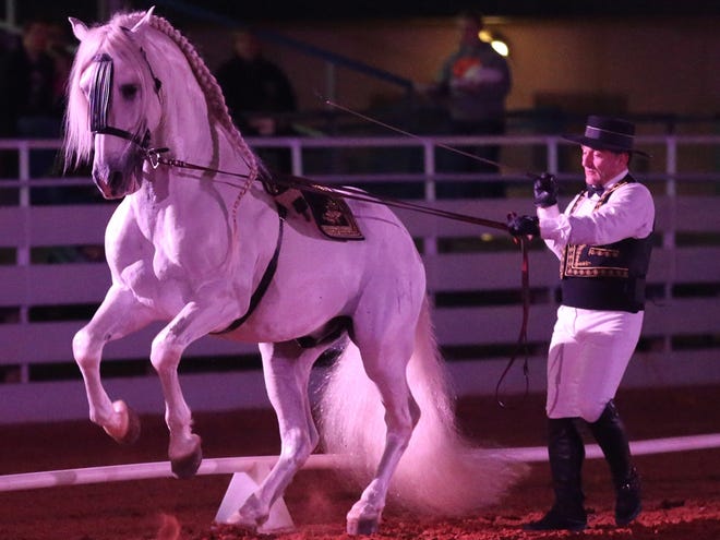 Rene Gasser performs with Habano, an Andalusian, during last year's Gala of the Royal Horses.