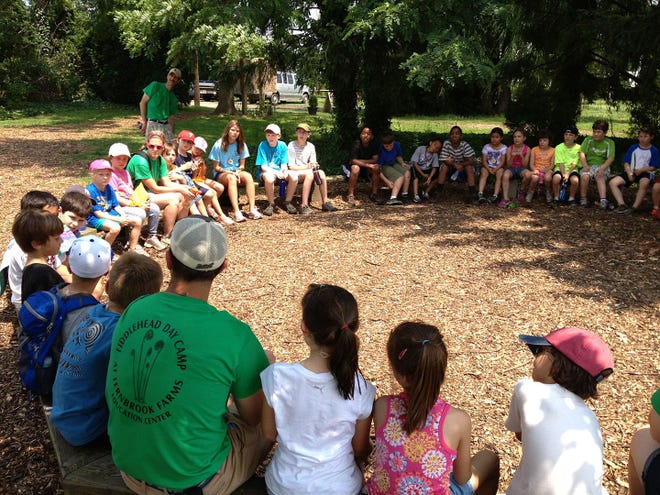 A camp circle at Fernbrook Farms Day Camp.