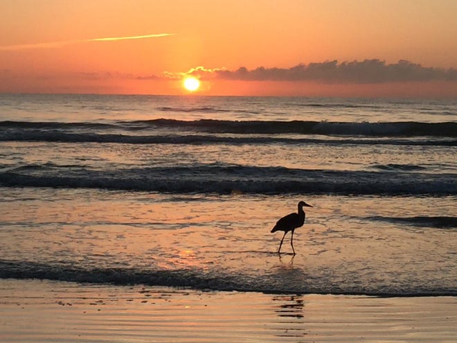 Sunrise over Ormond Beach Thursday morning, Photo by Jim Haug.