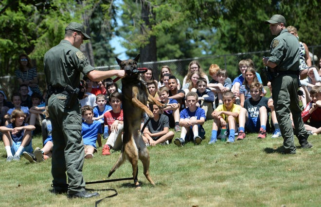 NH State Troopers visited Hampton Academy Tuesday to demonstrate to students their jobs and responsibilities with the working dogs. At left, Trooper Haden Wilber works with his K-9, Gauge while Trooper John Forbes explains. The school raised about $2,000 for a vest for the State Police K-9 Unit.

Deb Cram/Seacoastonline
