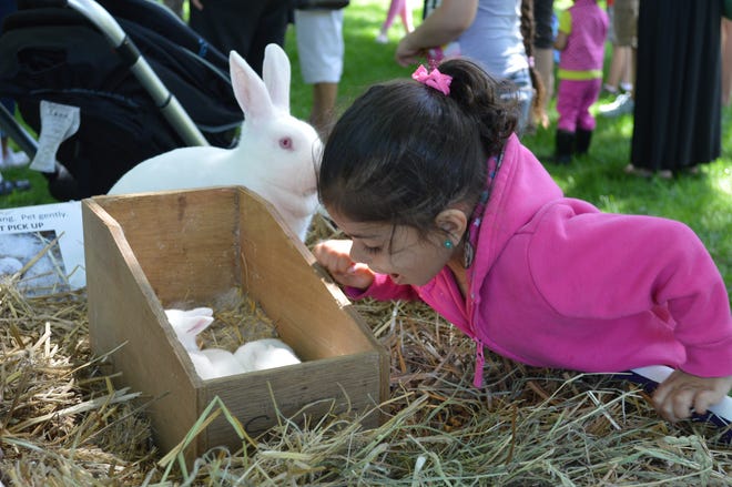 A little girl pets a bunny at a previous Herrick summer party. Contributed