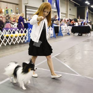 Maddison Upton, 10, leads her dog, Austin, during the Summer Classic Dog Show at the Cox Convention Center in Oklahoma City, Wednesday, June 29, 2016. Photo by Kurt Steiss, The Oklahoman