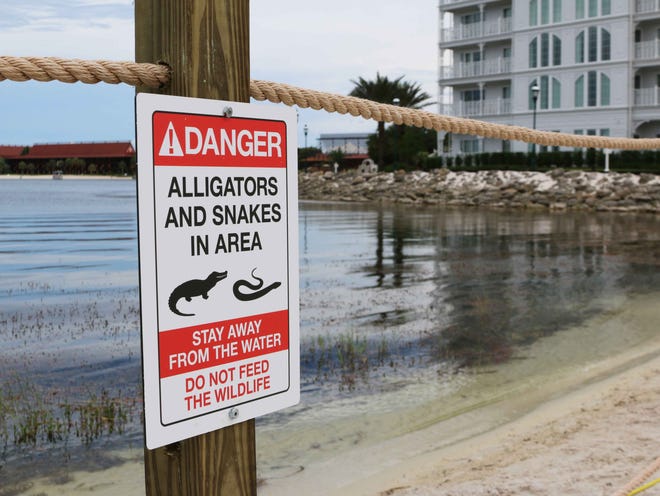 In this Friday, June, 17, 2016 photo released by Walt Disney World Resort, a new sign is seen posted on a beach outside a hotel at a Walt Disney World resort in Lake Buena Vista, Fla. Private family services have been scheduled for a 2-year-old Nebraska boy killed by an alligator at Disney World. Authorities say an alligator pulled Lane Graves into the water last Tuesday, June 14, 2016, despite the frantic efforts of his father. Lane's body was recovered Wednesday.
