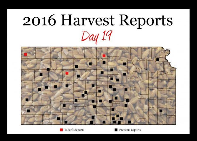 Day 19, Kansas Wheat Harvest Report