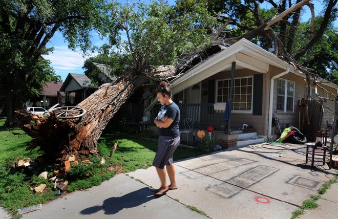 Kiarra Skinner walks down her driveway Wednesday morning past a tree that was toppled onto her home at 245 S. Baker by high winds during the night. Gusts in Salina were reported as high as 53 mph.