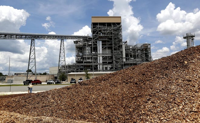 Wood used for fuel is piled up next to the Gainesville Renewable Energy Center. (Matt Stamey/Gainesville Sun)