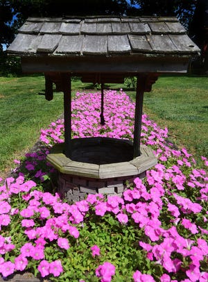 Not my petunias: Unlike the author, a family in the region has gotten the hang of the fancy summer annuals.