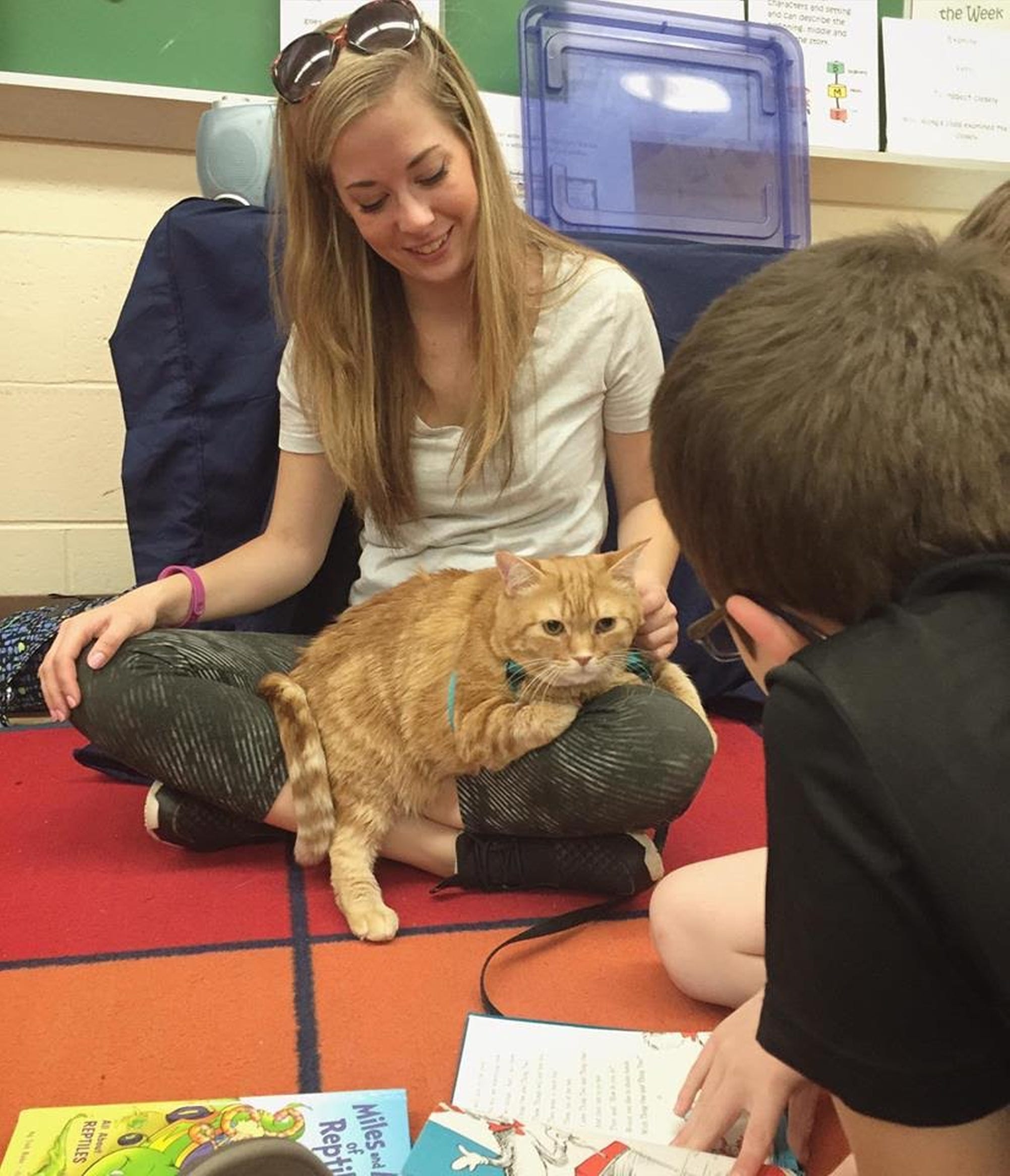 Pawsitive' animals help humans Pawsitive' animals help humans