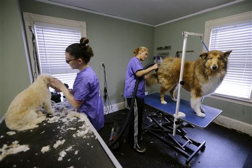 In this March 23, 2016, photo, dog groomers Brittany Sarcione, left, and Angela Kizirian work at Bark of the Town in North Andover, Mass. The Federal Reserve released its latest "Beige Book" survey of economic conditions Wednesday. The Beige Book is based on anecdotal reports from businesses and will be considered along with other data when Fed policymakers meet in the next month. (AP Photo/Elise Amendola)