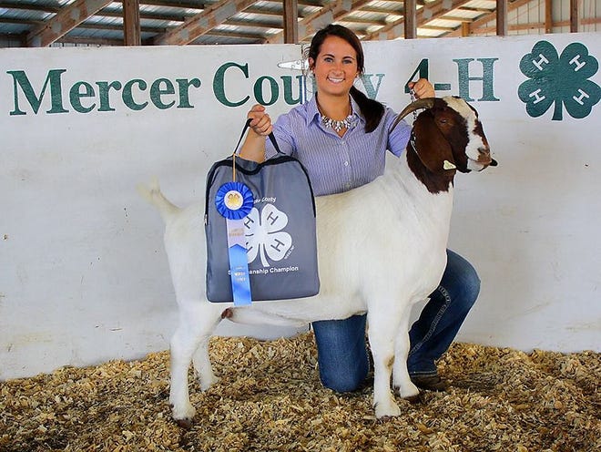 Shelby Link, Alexis All Stars, was the 4-H Senior Showmanship Winner at the 2015 Mercer County Fair.
