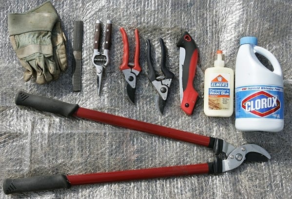 Tools for prunning include gloves, a sharpener, a hand saw, bleach and an assortment of prunning shears. (Dave Bowman/Newport News Daily Press/TNS)