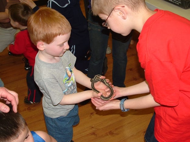 DeGraaf Nature Center is offering several programs this weekend geared toward children. Contributed