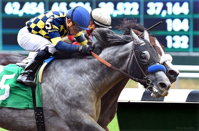The $90,000 Allowance race for three year-plds and up going seven furlongs over a fast track, was won by Bob Baffert's 5-Jimbo Fallon with Joel Rosario nipping out Jimmy Jerkens' Adulator with Junior Alvarado, on Saturday, July 9, 2016.