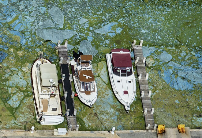 Boats docked at Central Marine in Stuart, Fla., are surrounded by blue green algae, in this June 29, 2016 file photo. The massive algae utbreak that recently caked parts of Florida's St. Lucie River with guacamole-thick sludge is just the latest in an annual parade of such man-made afflictions, which have their roots in political and economic decisions made over the past 140 years. 

Greg Lovett/The Palm Beach Post via AP, File)(/Palm Beach Post via AP